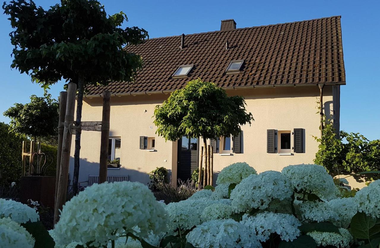 Gleisberg3 - Suedliche Weinstrasse Billigheim-Ingenheim Exterior foto